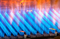 Rascal Moor gas fired boilers